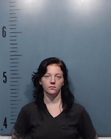 Allen, Elizabeth Anne arrested by Taylor County SO/PD