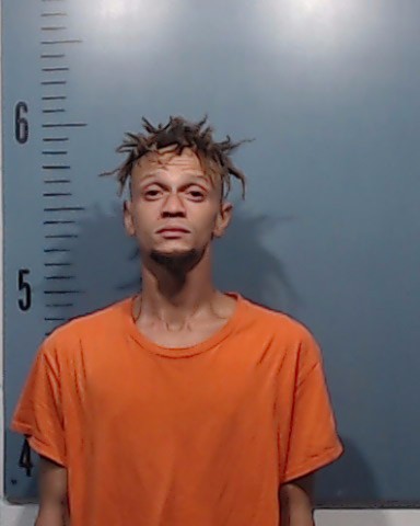 Brown, Darius Lemont booking photo