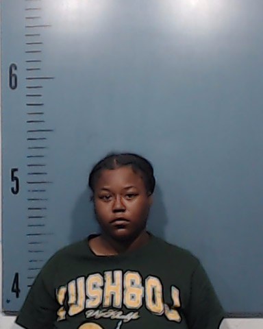 Bibbs, Christina Alberta Sharees booking photo