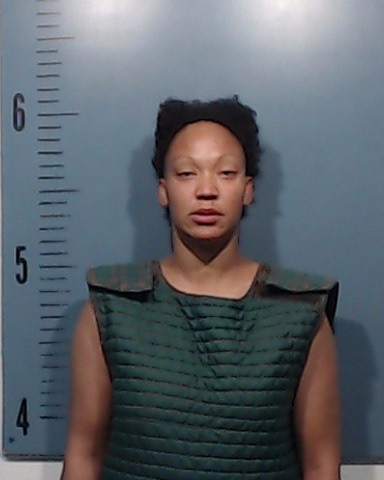 Tinnell, Kayla Nicole booking photo