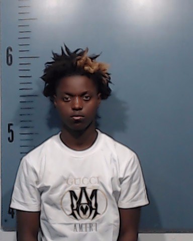 Manirakoze, Niyitanga Prince booking photo