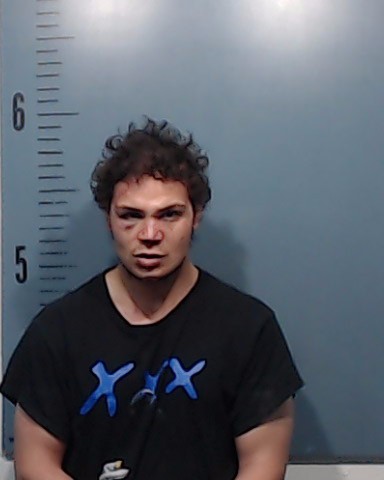 Davis, Donald Mason booking photo