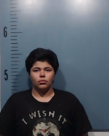 Sanchez, Elianna Nickhole booking photo