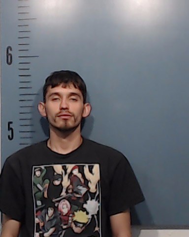De Leon Guardado, Samuel Anton booking photo