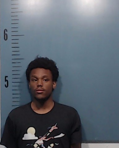 Graham, Bruce Jai Shunn Lewis booking photo