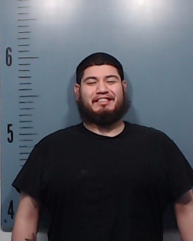 Saldana, Xavier Yves booking photo