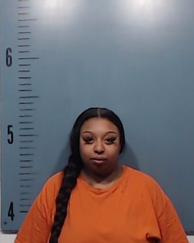 Haynes, Atira Denae booking photo