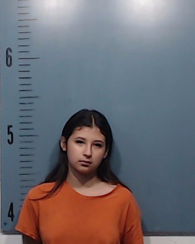 Mora Mendoza, Melissa Marie booking photo