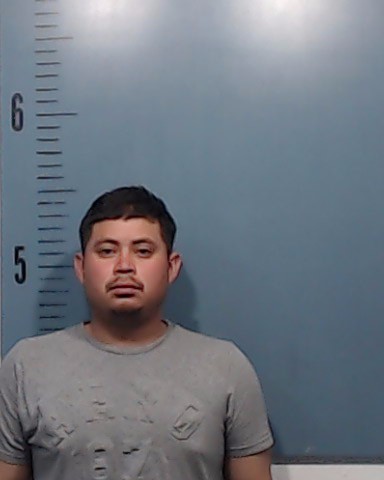 Ruiz-Ricardez, Ricardo booking photo