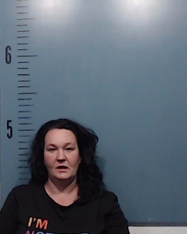 Willis, Kelly Ann booking photo
