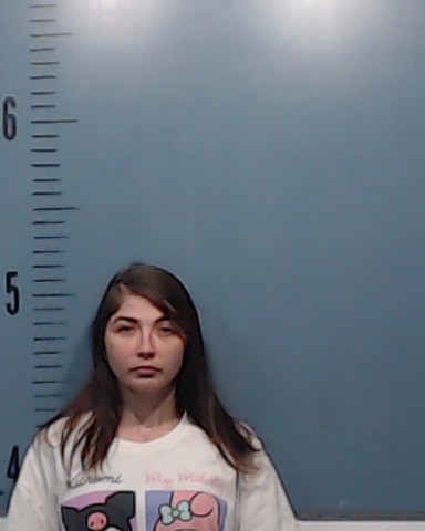 Morgan, Rachelle Dianne booking photo