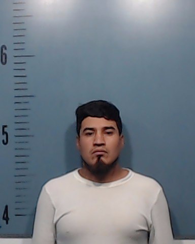 Perez-Aquino, Salmone arrested by Taylor County SO/PD