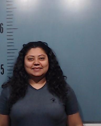 Lopez-Villeda, Yeni Beatriz booking photo