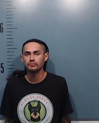 Fernandez, Martin Acosta booking photo