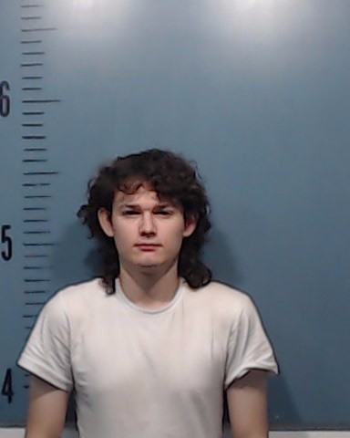 Hanley, Jaxson Isaiah booking photo