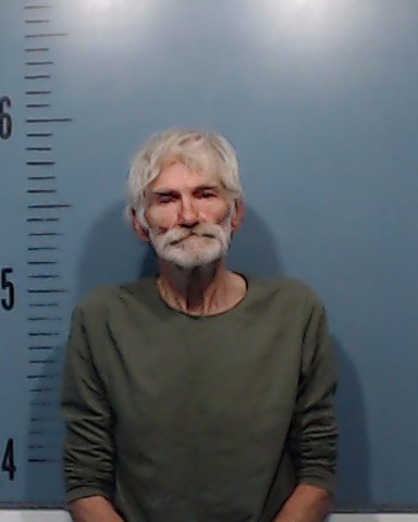 Pickett, Trenton Dewayne arrested by Taylor County SO/PD