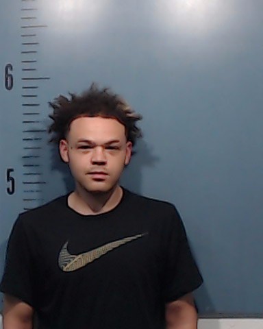 Garner, Brandon Alexzander booking photo