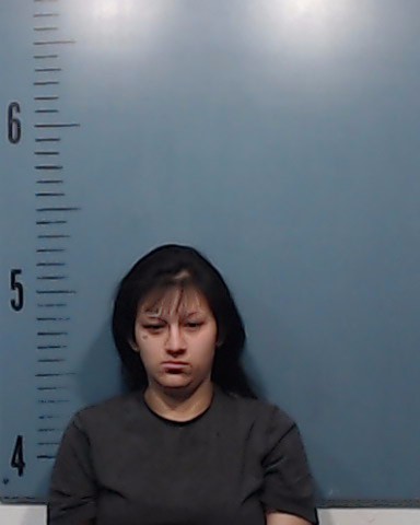Hernandez, Guadalupe Nellie booking photo