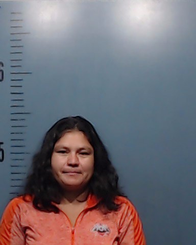 Montenegro, Sonia Marlene booking photo