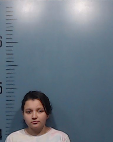 Trochez-Rosa, Onelbis Celeste booking photo