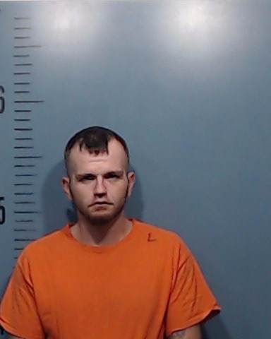 Ervin, Jeremy Duane booking photo