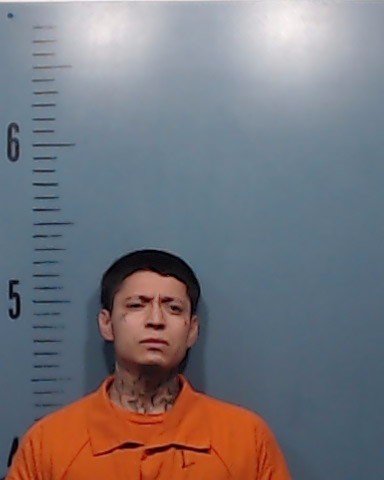 Pedroza, Andrew Valentine booking photo
