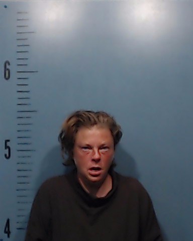 Reavey, Ashley Nicole booking photo