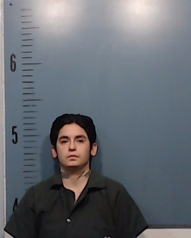 Hernandez, Dominique Lee booking photo