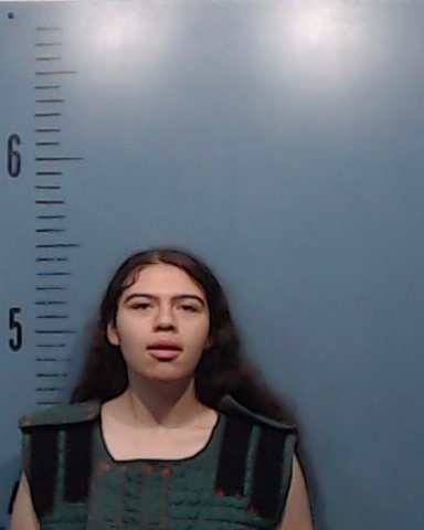 Garcia, Caitlyn Marie booking photo