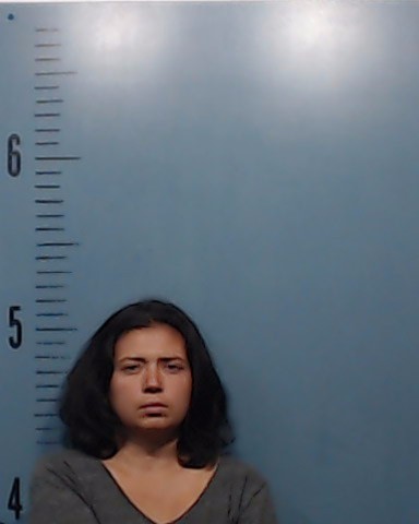 Chavez, Erica Daniela booking photo