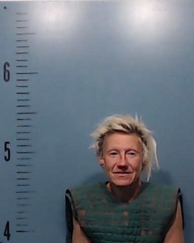 Denison, Jessica Lynn booking photo
