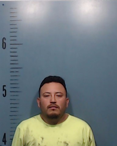 Loiaza-Flores, Juan Antonio booking photo