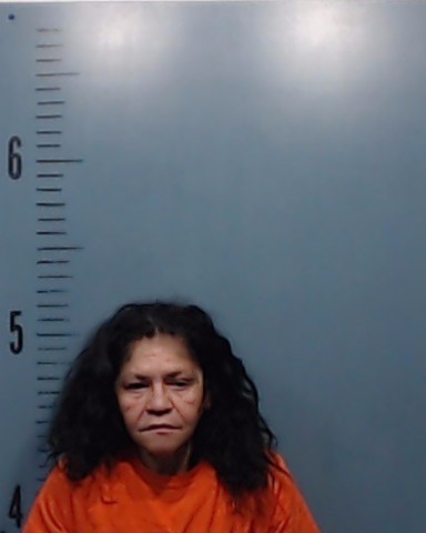 Soto, Joan Lee booking photo