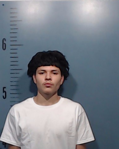 Arreola, Jayden Gabriel booking photo