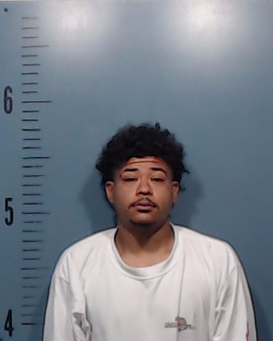 Trevino-Mckoy, Jalen Nathaniel booking photo