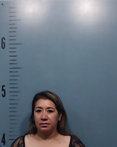 Torres, Delores Segura booking photo