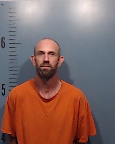 Mitchell, Nikkie Lee booking photo