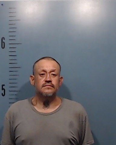 Silva, David, Jr. booking photo