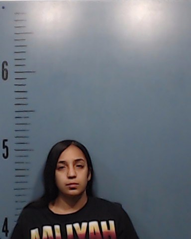 Alsides, Aaliyah Alize booking photo