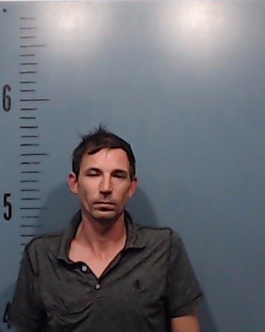Bentley, Michael Wayne arrested by Taylor County SO/PD