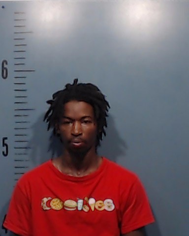 Ellis, Antwon Lamar arrested by Taylor County SO/PD