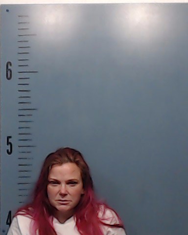 Burkhead, Crystal Lea booking photo