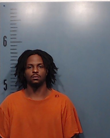 Johnson-Ajanaku, Vinson Bernard booking photo