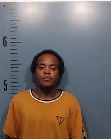 Valencia, Veliaunte Chanquise booking photo