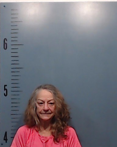 Ortiz, Andrena Lynn booking photo