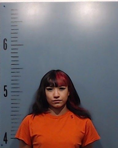 Almanza, Yvonne Marrie booking photo