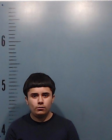 Sanchez, Jose Alexander booking photo