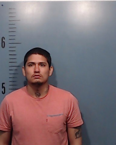 Solorzano Nambo, Sergio booking photo