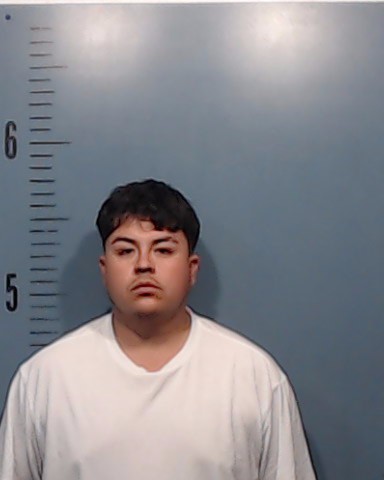 Dominguez-Morales, Brayan arrested by Taylor County SO/PD