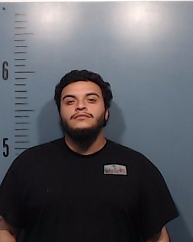 Morales, Gilberto, Jr. booking photo